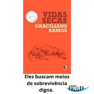 Primeiramente, apresentamos o resumo do livro Vidas Secas, obra-prima de Graciliano Ramos. Descubra a jornada de Fabiano e sua família. Analise o impacto da seca e a miséria humana.