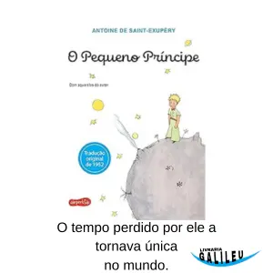 Nesta obra-prima, explore o resumo do livro O Pequeno Príncipe e suas profundas lições. Descubra a jornada poética do aviador e os ensinamentos sobre o invisível e a verdadeira amizade.